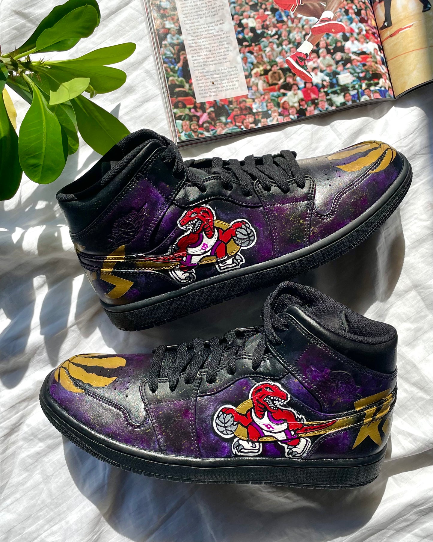 Raptors - Jordan 1 Mid
